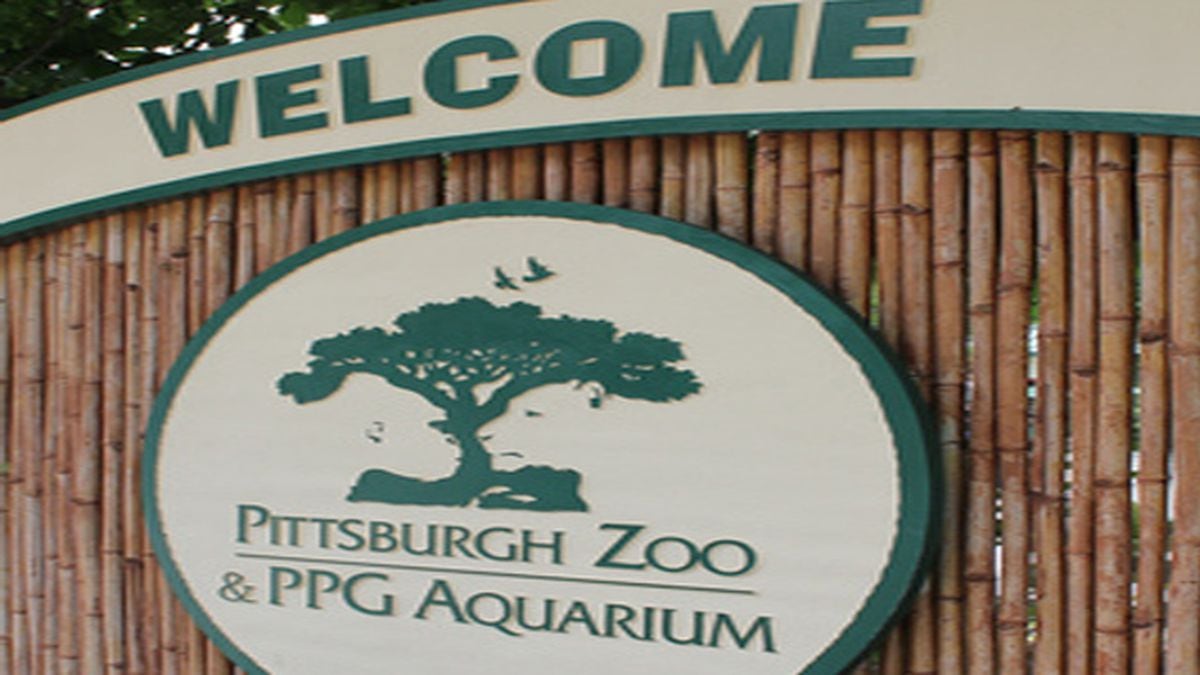 Pittsburgh Zoo offering free admission for 12 days