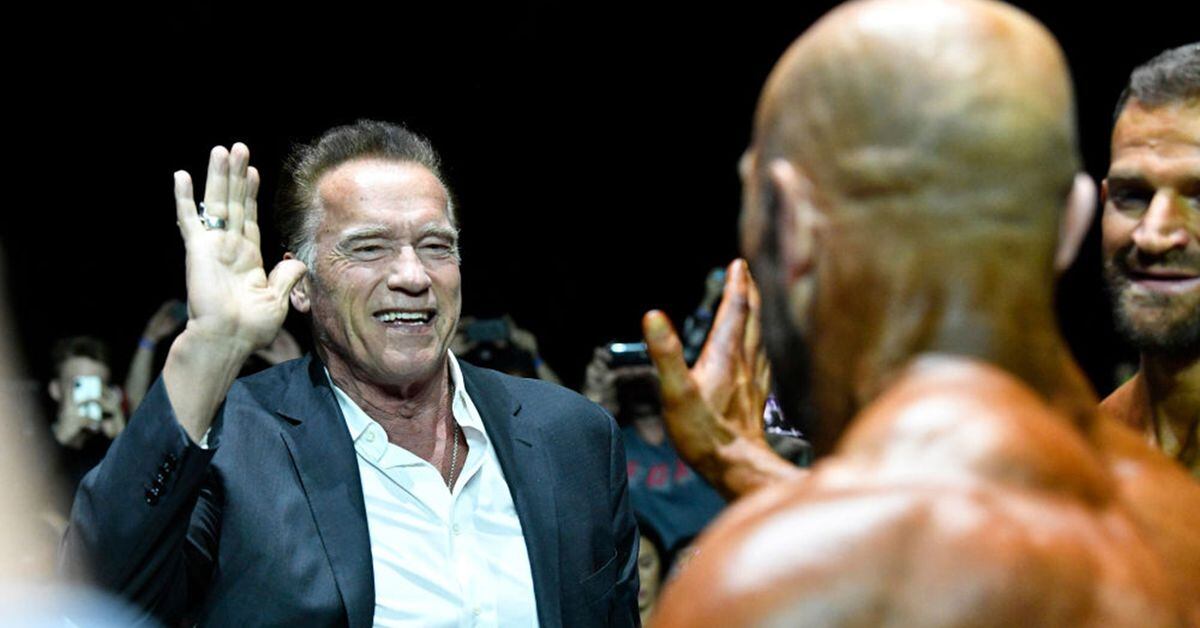 Arnold Schwarzenegger Drop Kicked By Man At Event In South Africa Not 
