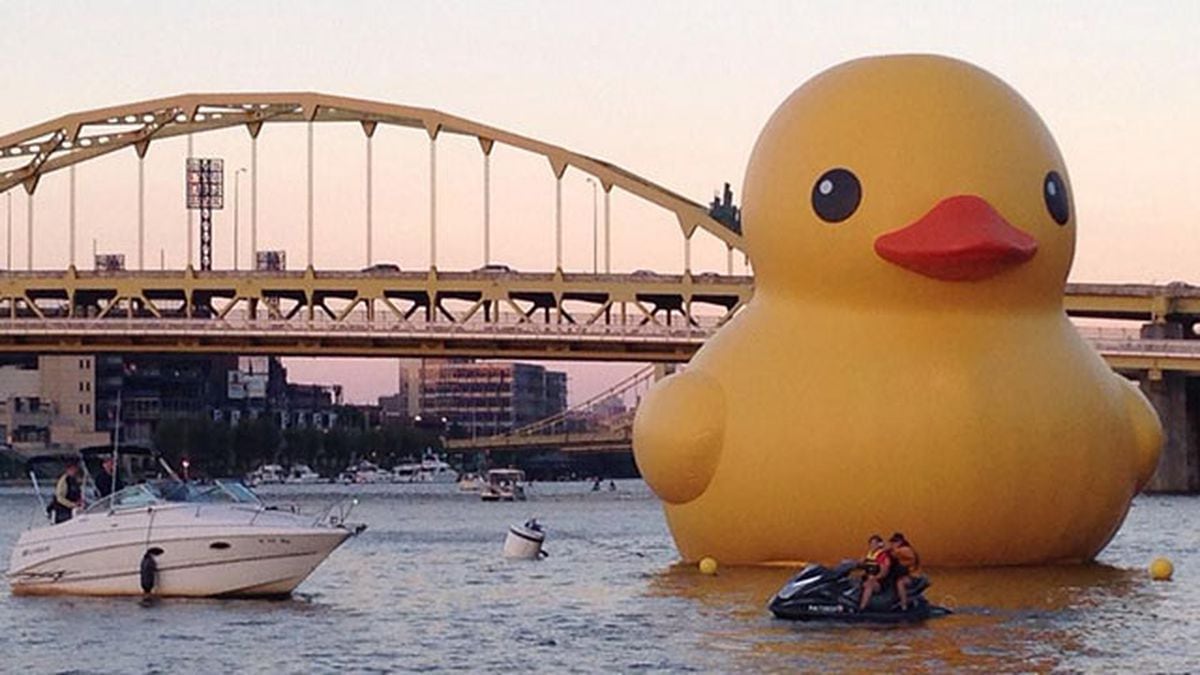 giant cuddly duck