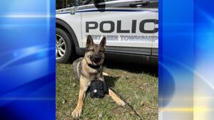 Gilpin seeks donations for care of township's police dog